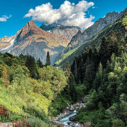 Photo #10989957