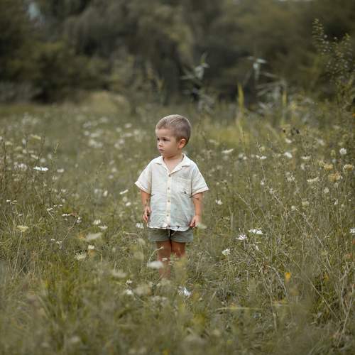 Photo #10990326
