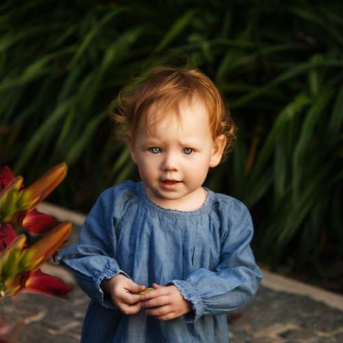 Photo #10990637