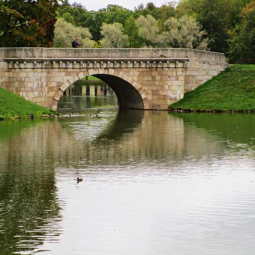 Photo #10990679