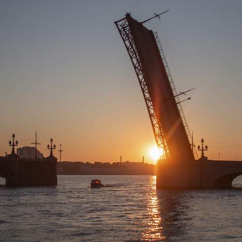 Photo #10990718