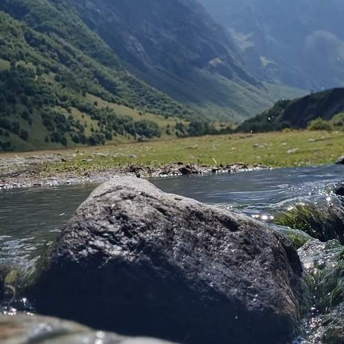 Photo #10991325