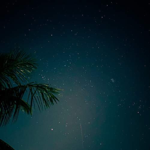 Photo #10992772