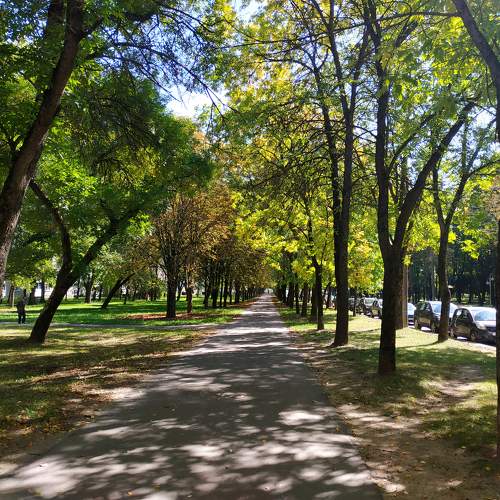 Photo #10992947