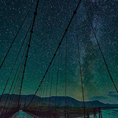 Photo #10993198