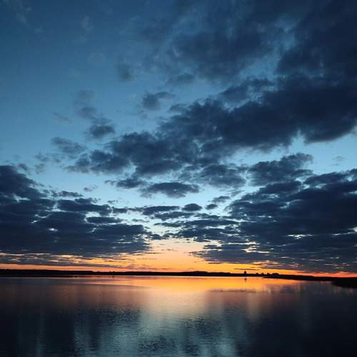 Photo #10993252