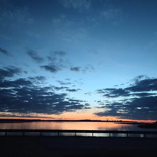 Photo #10993253