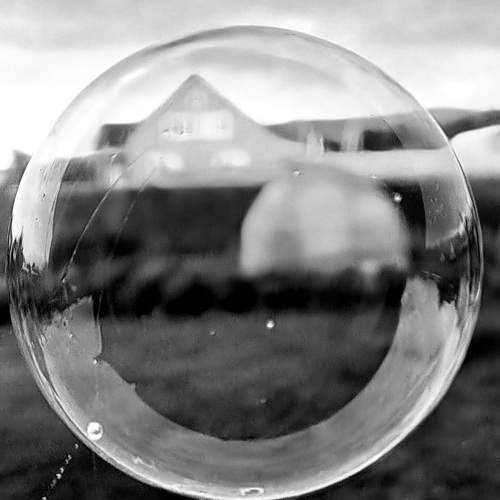 Photo #10993853