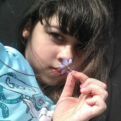 Photo #10994142