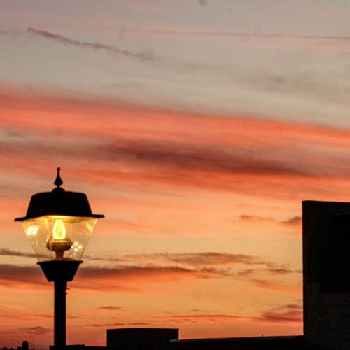 Photo #10994434