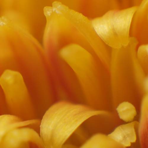 Photo #10994455