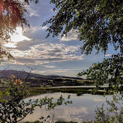 Photo #10994850