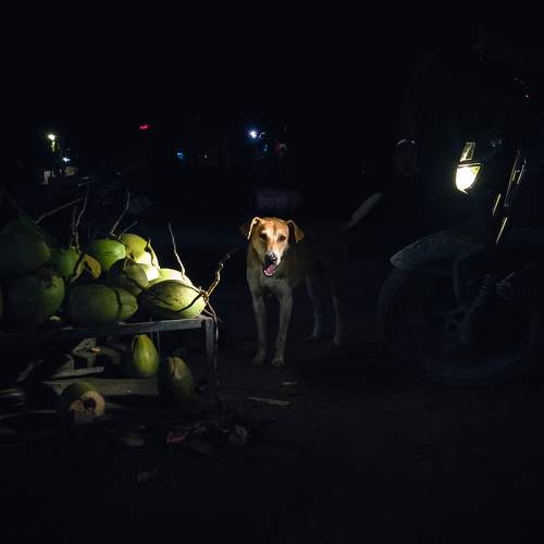 Photo #10994857