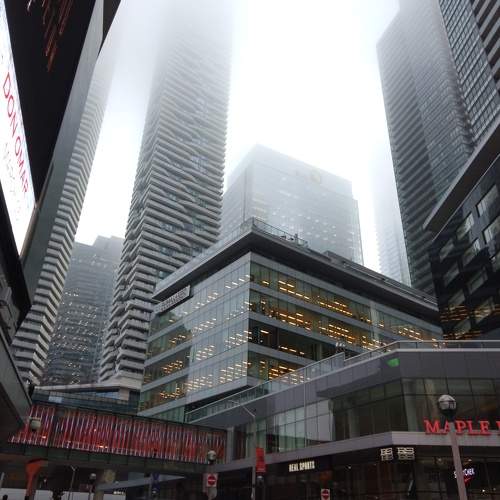 Concealed by a misty veil