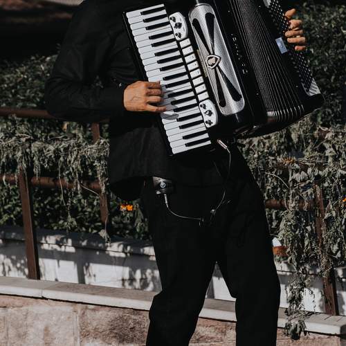 Photo #10995150