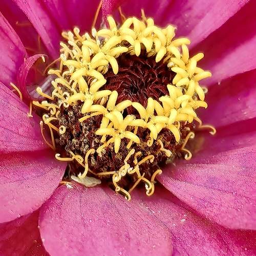 Photo #10995497