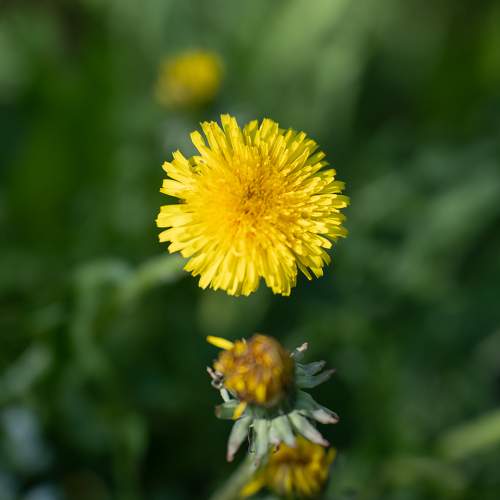 Photo #10995563