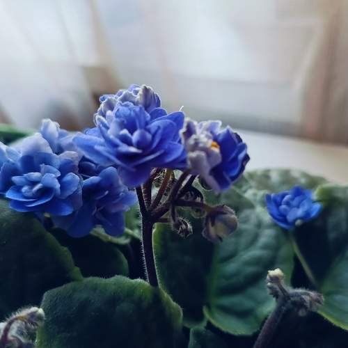 Photo #10996418