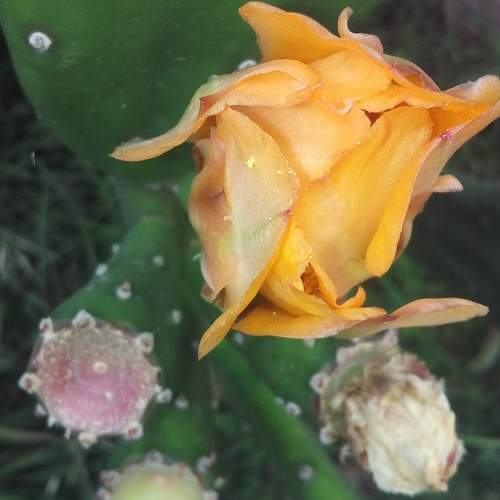 Photo #10997008