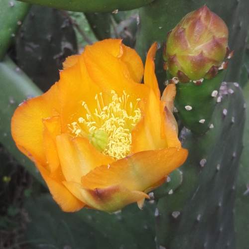 Photo #10997015