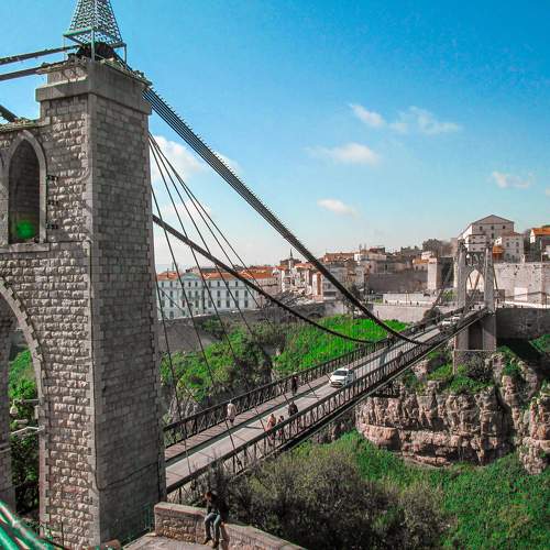 Photo #10997091