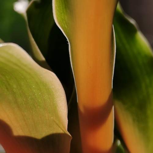 Photo #10997491