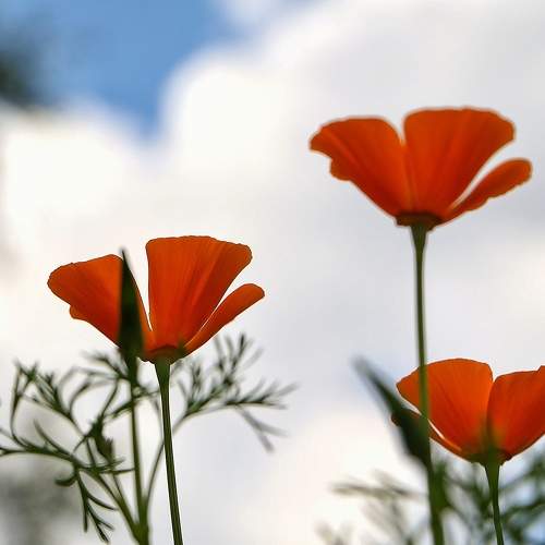 Photo #10998009