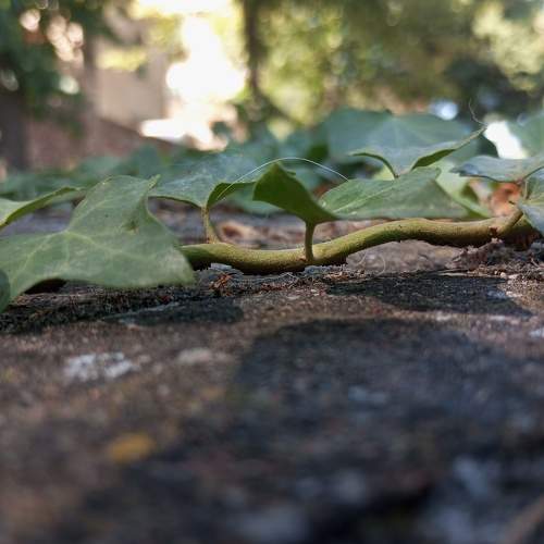 Photo #10998154