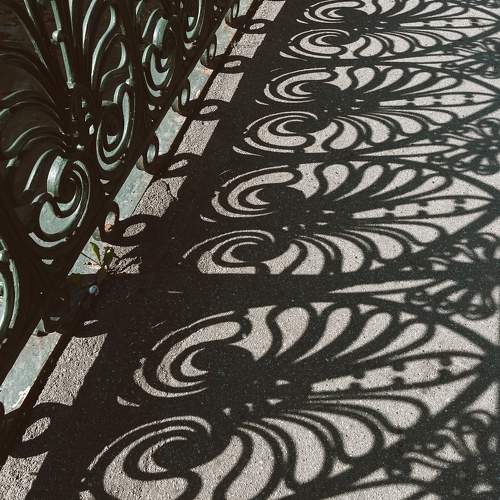 Photo #10998393