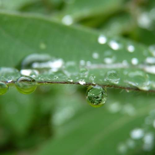 Photo #10998520