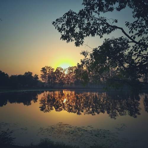 Water reflection of Sunset between the woods.