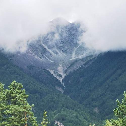 Photo #10999125