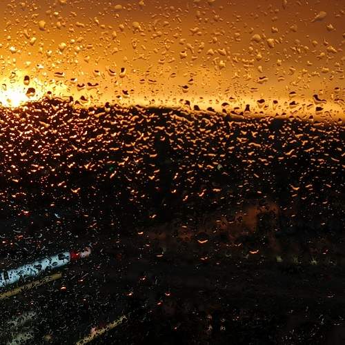 Photo #10999611