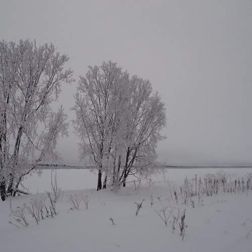 На берегу реки.Декабрь,пасмурно