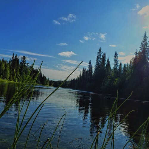 День