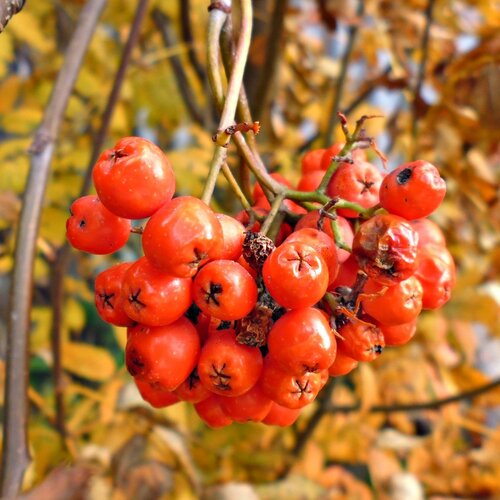 Photo #1102567