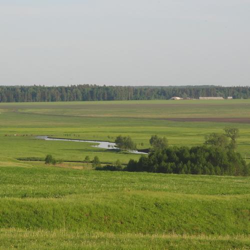Photo #1102568