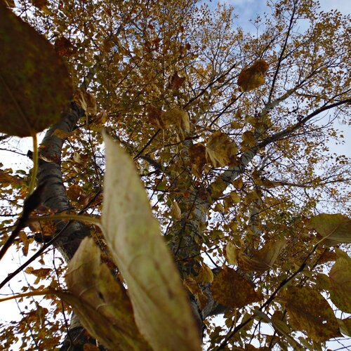 Photo #1102570
