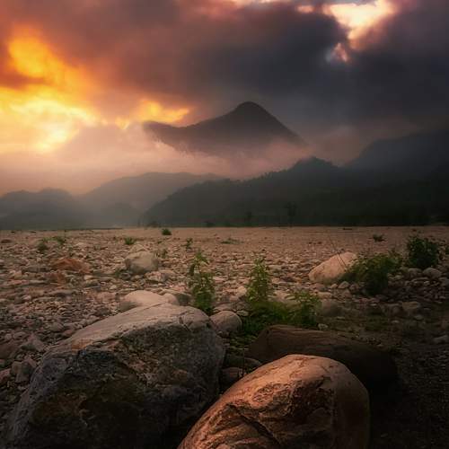 Photo #11000039