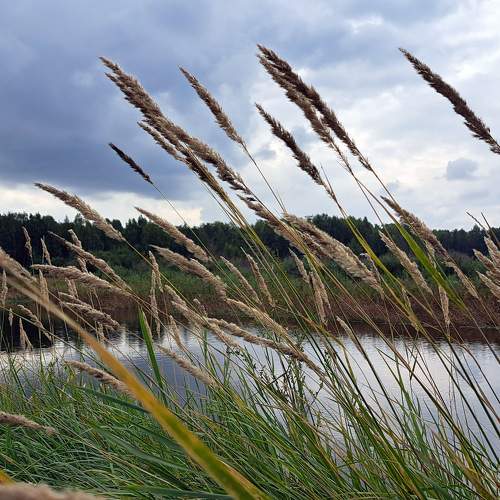 Photo #11000061