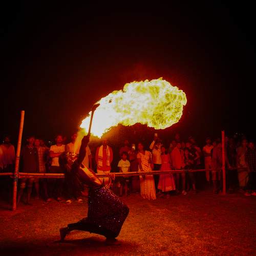 Photo #11000230