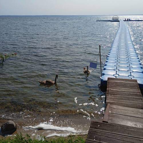 Photo #11000239