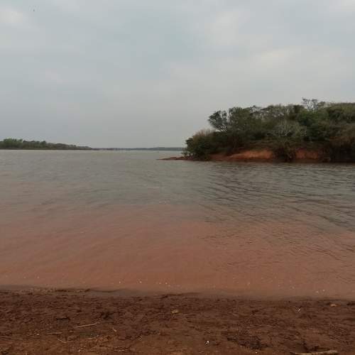 Photo #11000506
