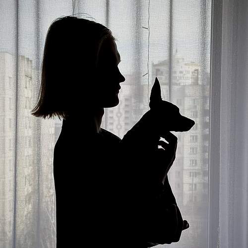 Photo #11000513
