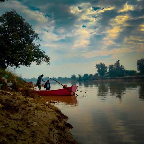Photo #11000967