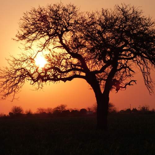Atardecer en Humboldt