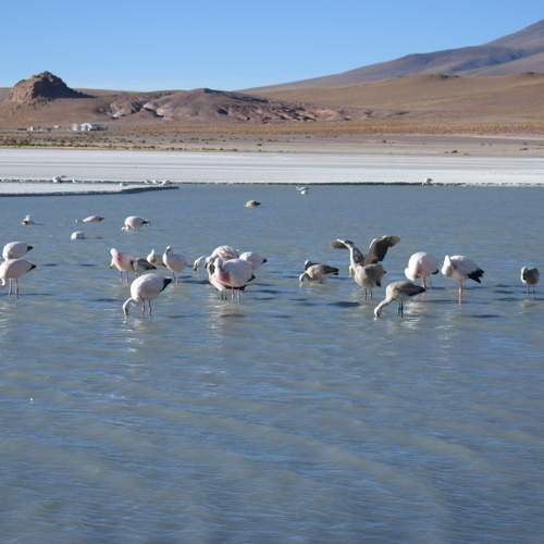 Photo #11001609