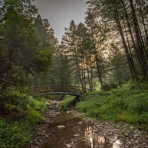 Photo #11001924