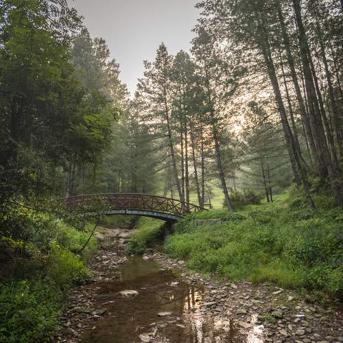 Photo #11001934