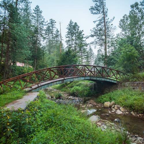 Photo #11001944